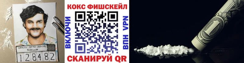 Cocaine FishScale  что такое   KRAKEN   Устюжна 