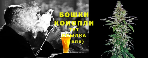 прущие крисы Арсеньев