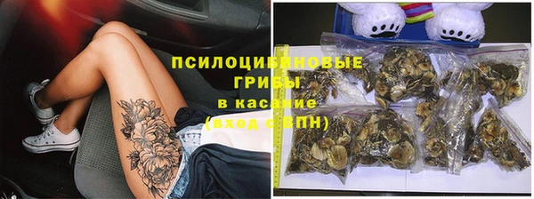 прущие крисы Арсеньев