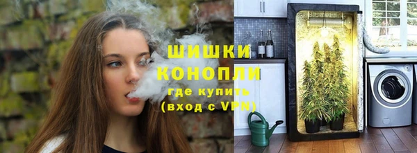 гидра Аркадак